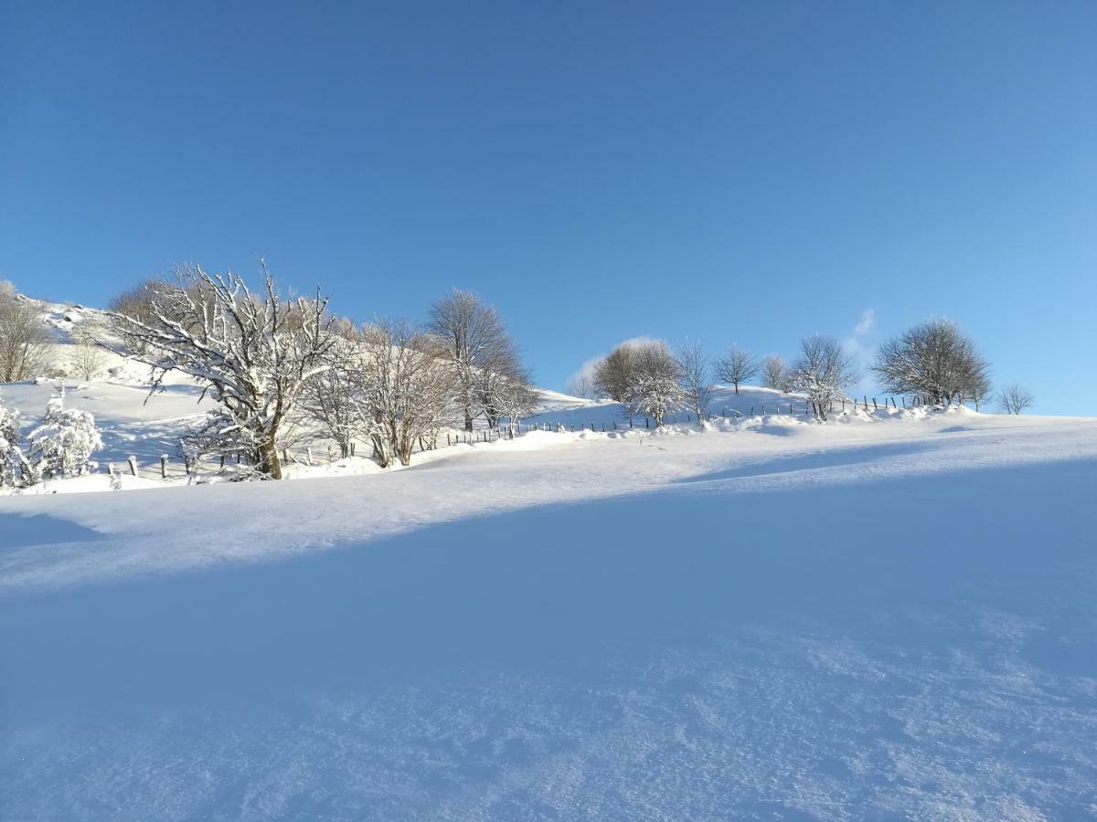 Gites De Moyenmont La Bresse Exteriér fotografie