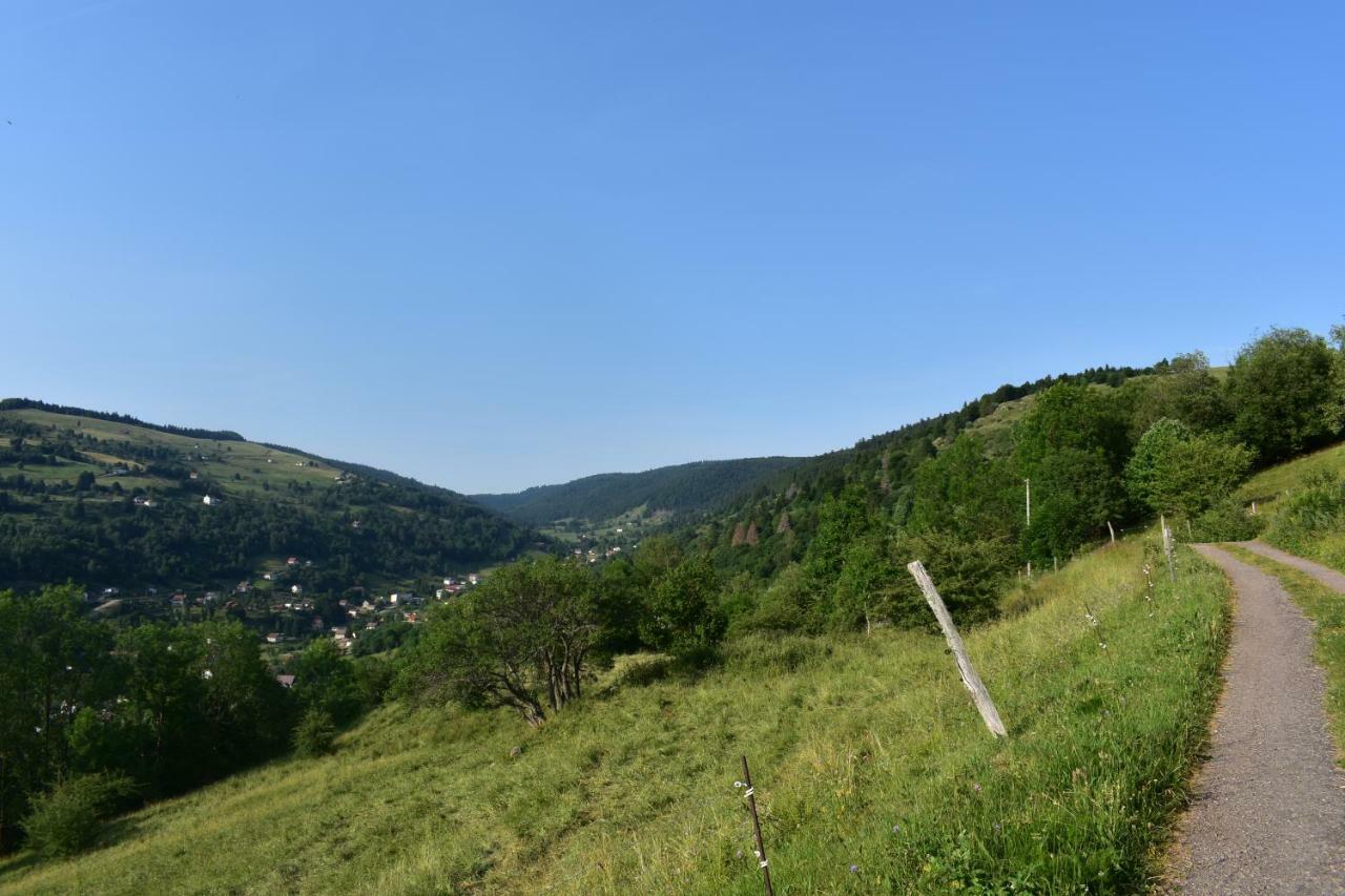 Gites De Moyenmont La Bresse Exteriér fotografie